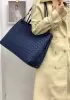 Allegria Woven XL Large Leather Shoulder Bag Blue